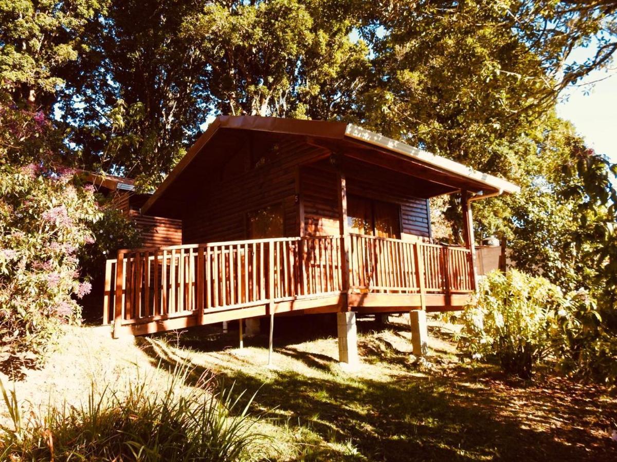 Cabanas San Gerardo San Gerardo de Dota Luaran gambar